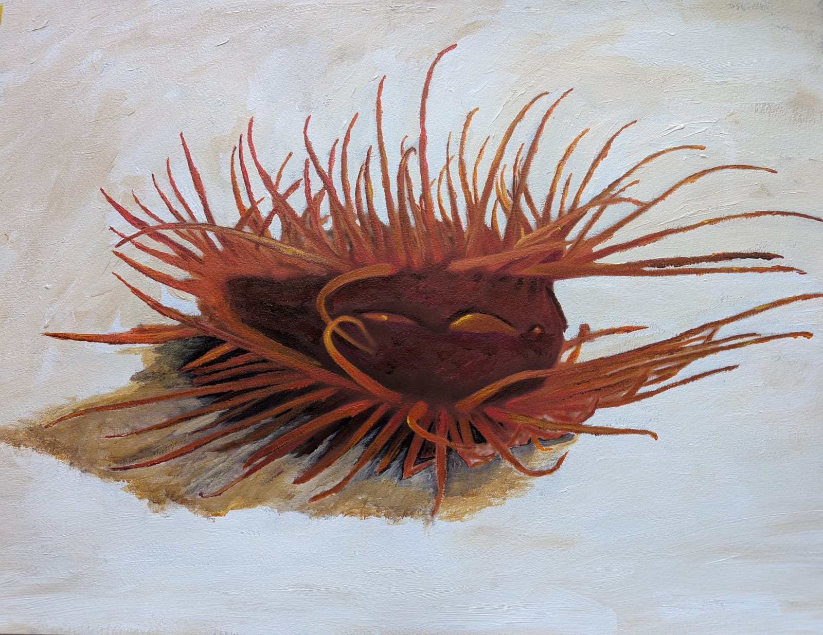 Electric Clam
